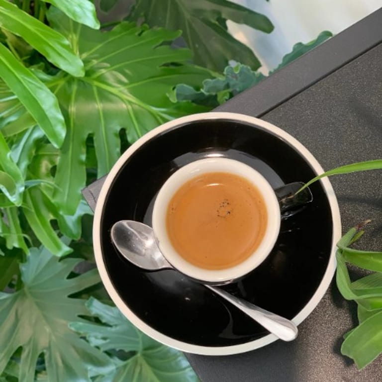 Discover Our Espresso Creations